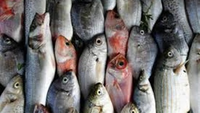 أسعار الأسماك اليوم الخميس 28 مارس 2024 