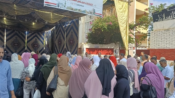 جانب من المتابعة