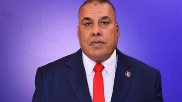 النائب محمد أبو النصر