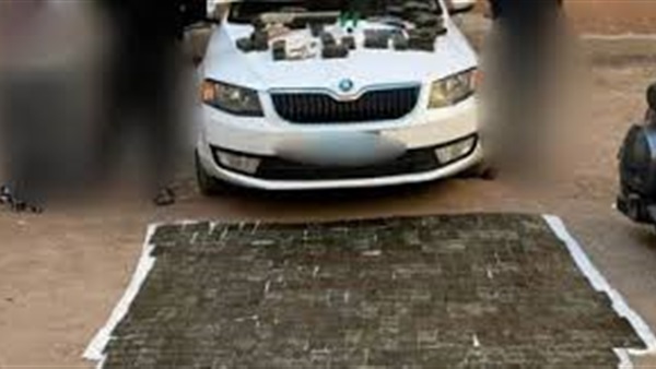 الحياة اليوم