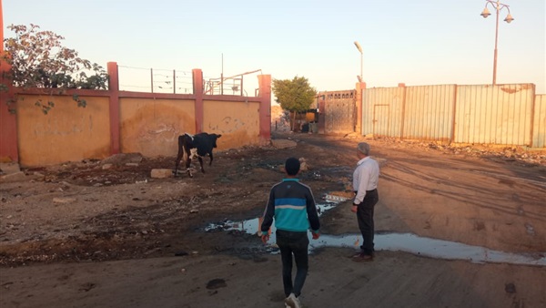 الحياة اليوم