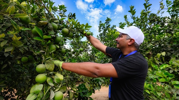 الحياة اليوم