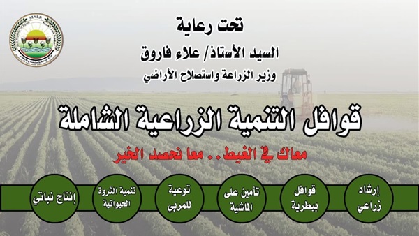 الحياة اليوم