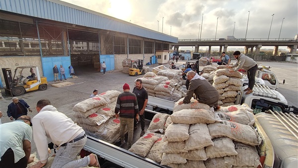 الحياة اليوم