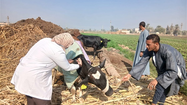 الحياة اليوم