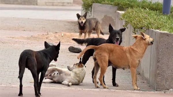 الحياة اليوم