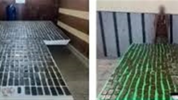 الحياة اليوم