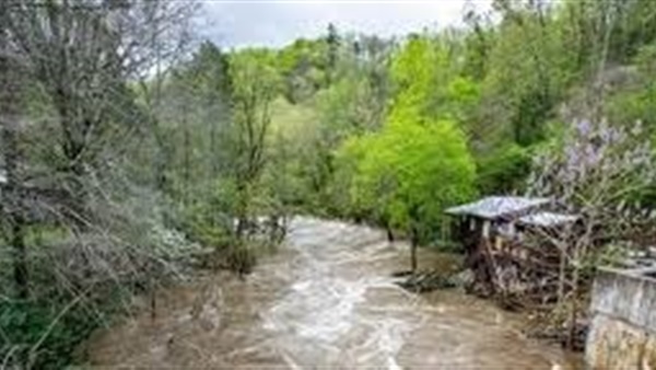 الحياة اليوم