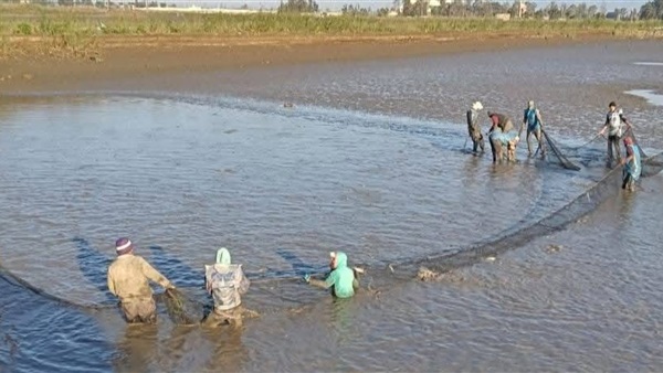 الحياة اليوم