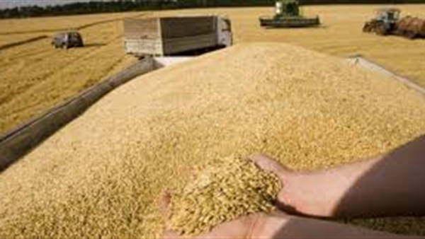 الحياة اليوم