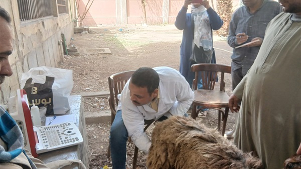الحياة اليوم