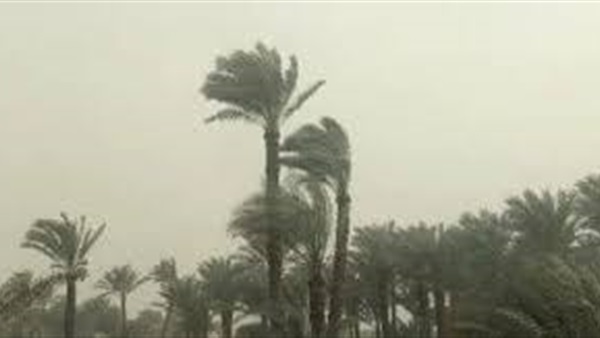 الحياة اليوم