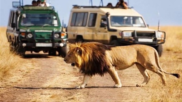 الحياة اليوم