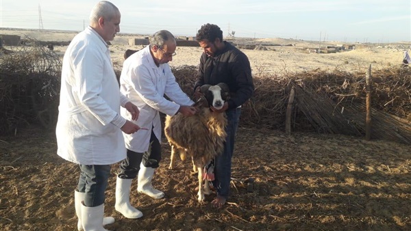 الحياة اليوم