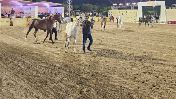 الحياة اليوم