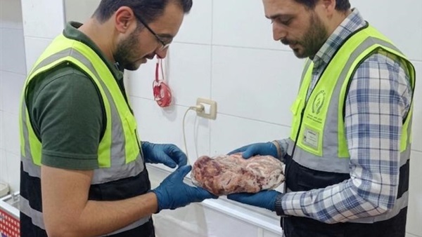 موضوعيه