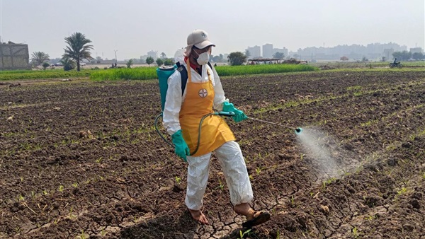 الحياة اليوم