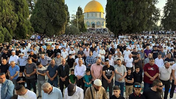 الحياة اليوم