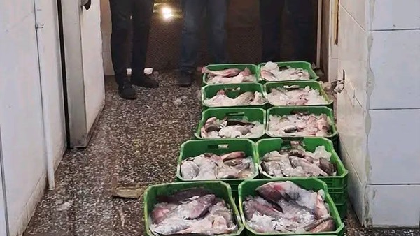 الحياة اليوم