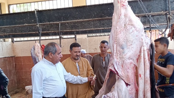 الحياة اليوم