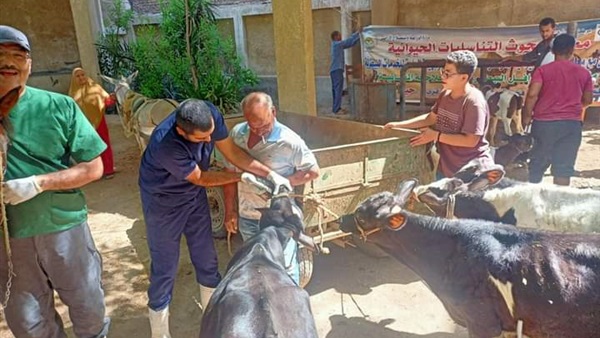 قافلة بيطرية 