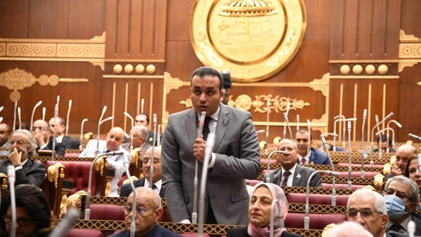 عمرو فهمي