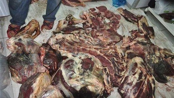 أرشيفية
