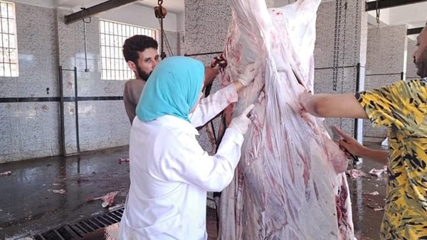 مجزر