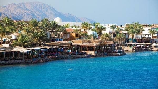 الحياة اليوم