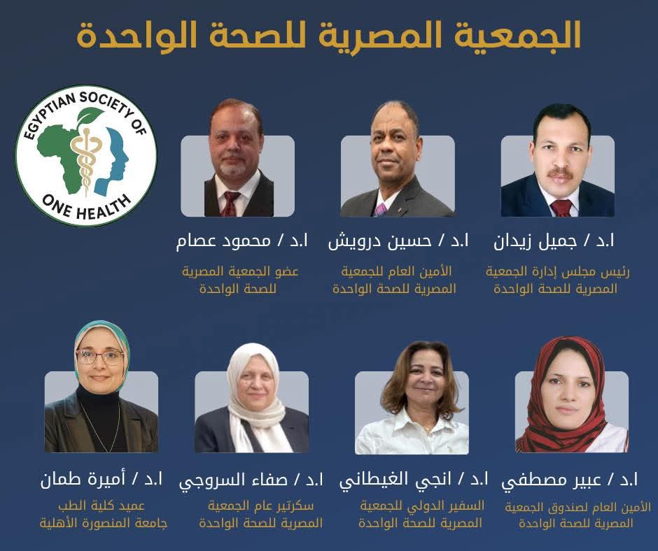 طب المنصورة الأهلية