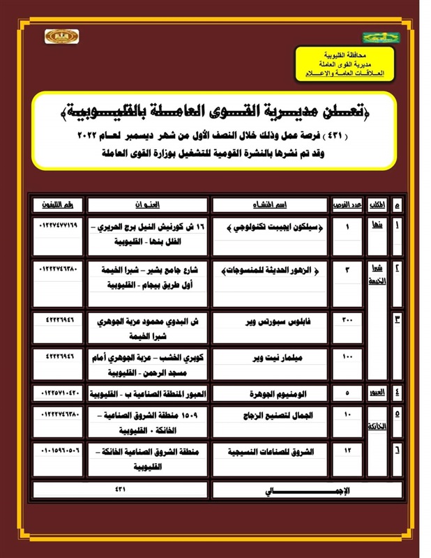القوي العاملة: توفير 431 فرصة عمل برواتب تصل لـ3 آلاف جنيهًا فـي القليوبية