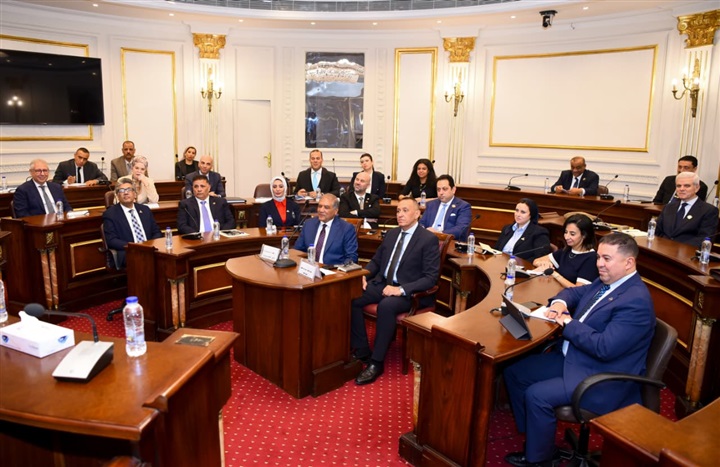 وزير الخارجية لـ «أعضاء الشيوخ»: مصر ترفض انتهاك سيادة الدول (صور)