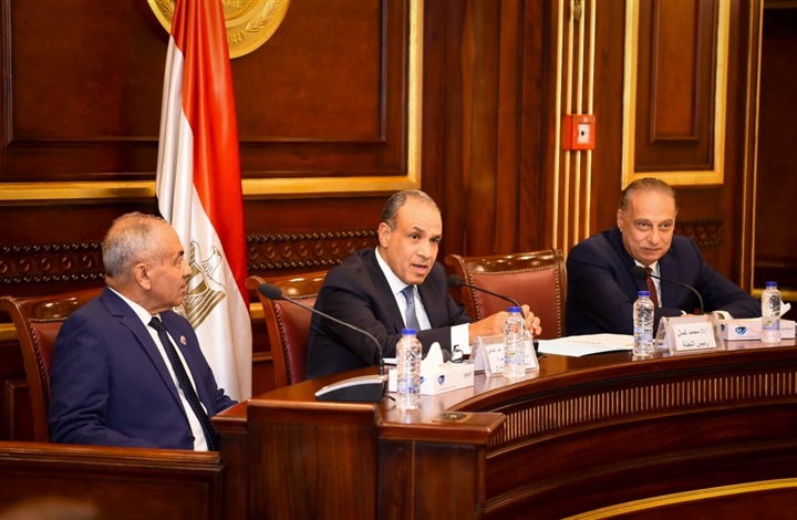 وزير الخارجية لـ «أعضاء الشيوخ»: مصر ترفض انتهاك سيادة الدول (صور)