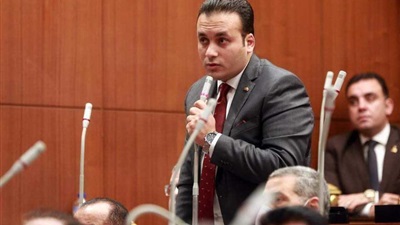 النائب عمرو فهمي: القمة المصرية البحرينية فضحت جرائم الاحتلال وأكدت دعم القضية الفلسطينية 