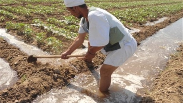 الحياة اليوم