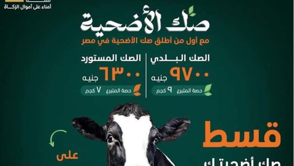 بنك الطعام المصري