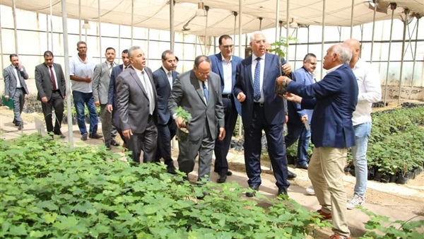 الحياة اليوم