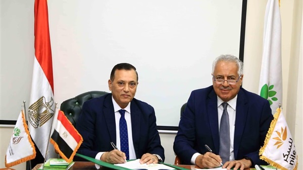 الحياة اليوم
