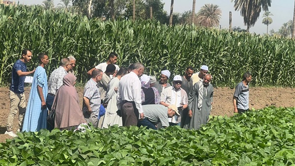 الحياة اليوم