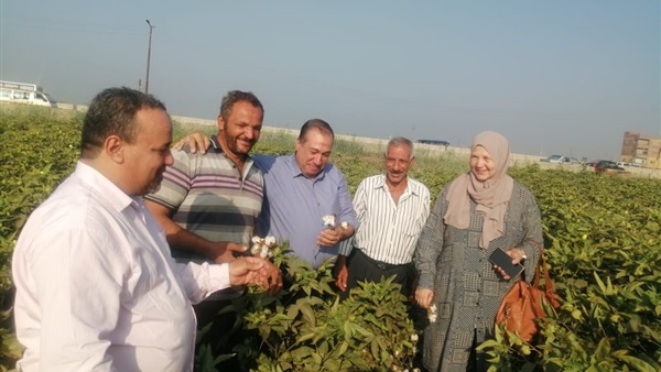 الحياة اليوم