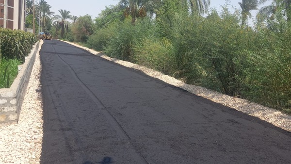 الحياة اليوم