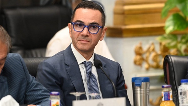وزير الاستثمار