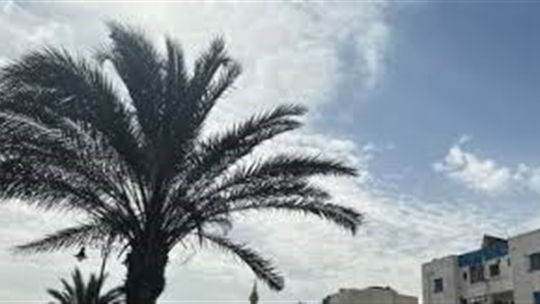 الحياة اليوم