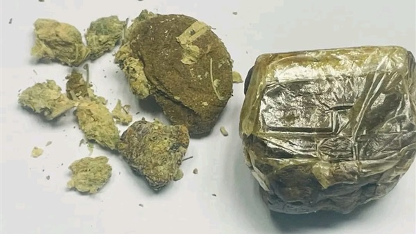 الحياة اليوم