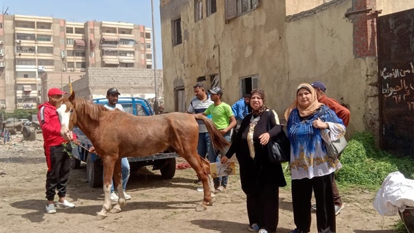 الحياة اليوم
