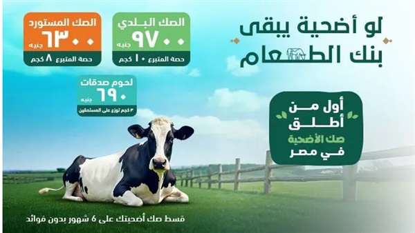الحياة اليوم