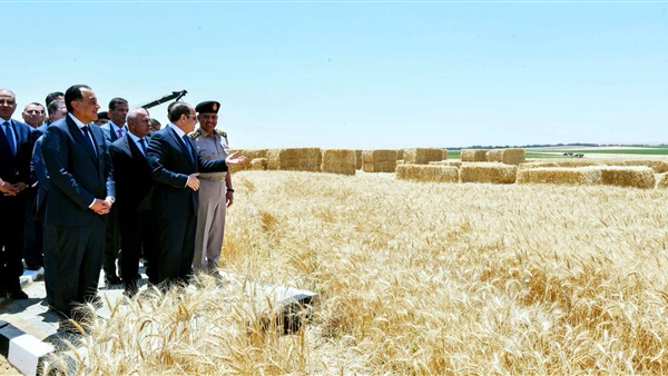الحياة اليوم