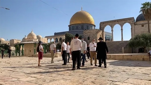 الحياة اليوم