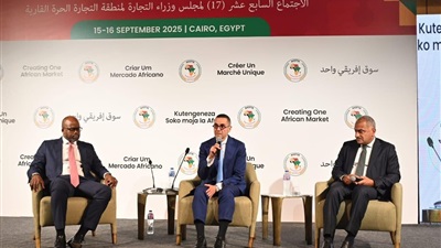 حوار رفيع المستوى للقطاع الخاص على هامش الخلوة الوزارية الرابعة للتجارة الأفريقية بالقاهرة 