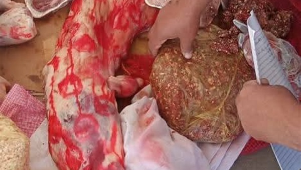 الحياة اليوم